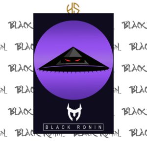 Black Ronin Midnight Warrior Poster